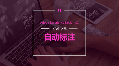 Adobe XD如何自动标注 标注插件怎样使用