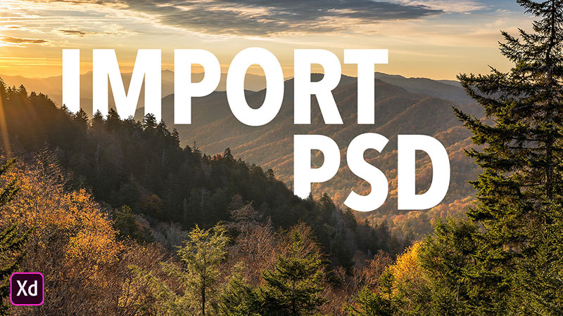 视频丨将Photoshop文件导入到Adobe XD中